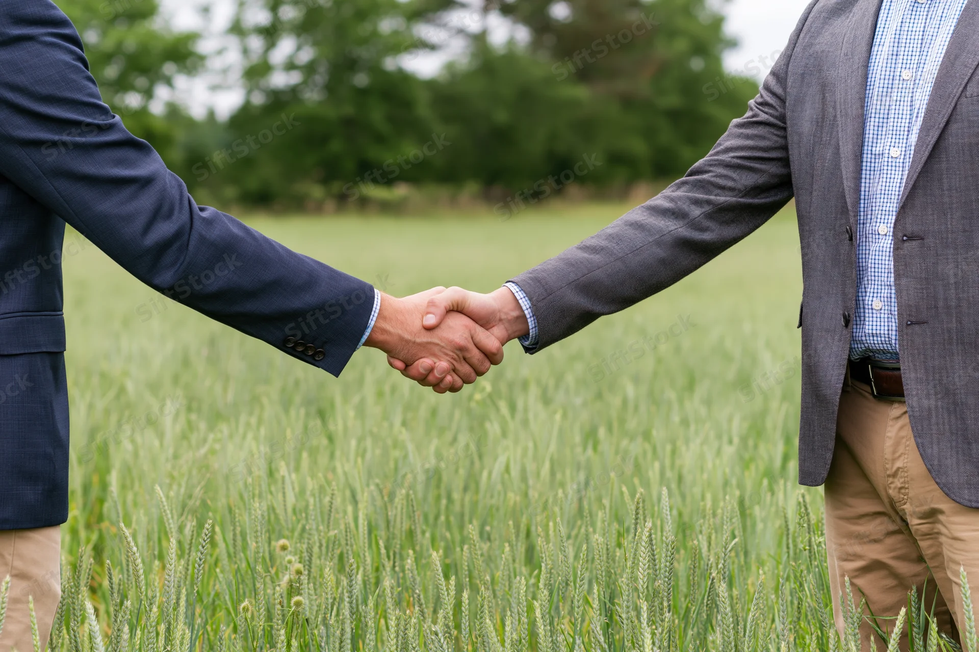Two men in business attire shaking hands in a green wheat field