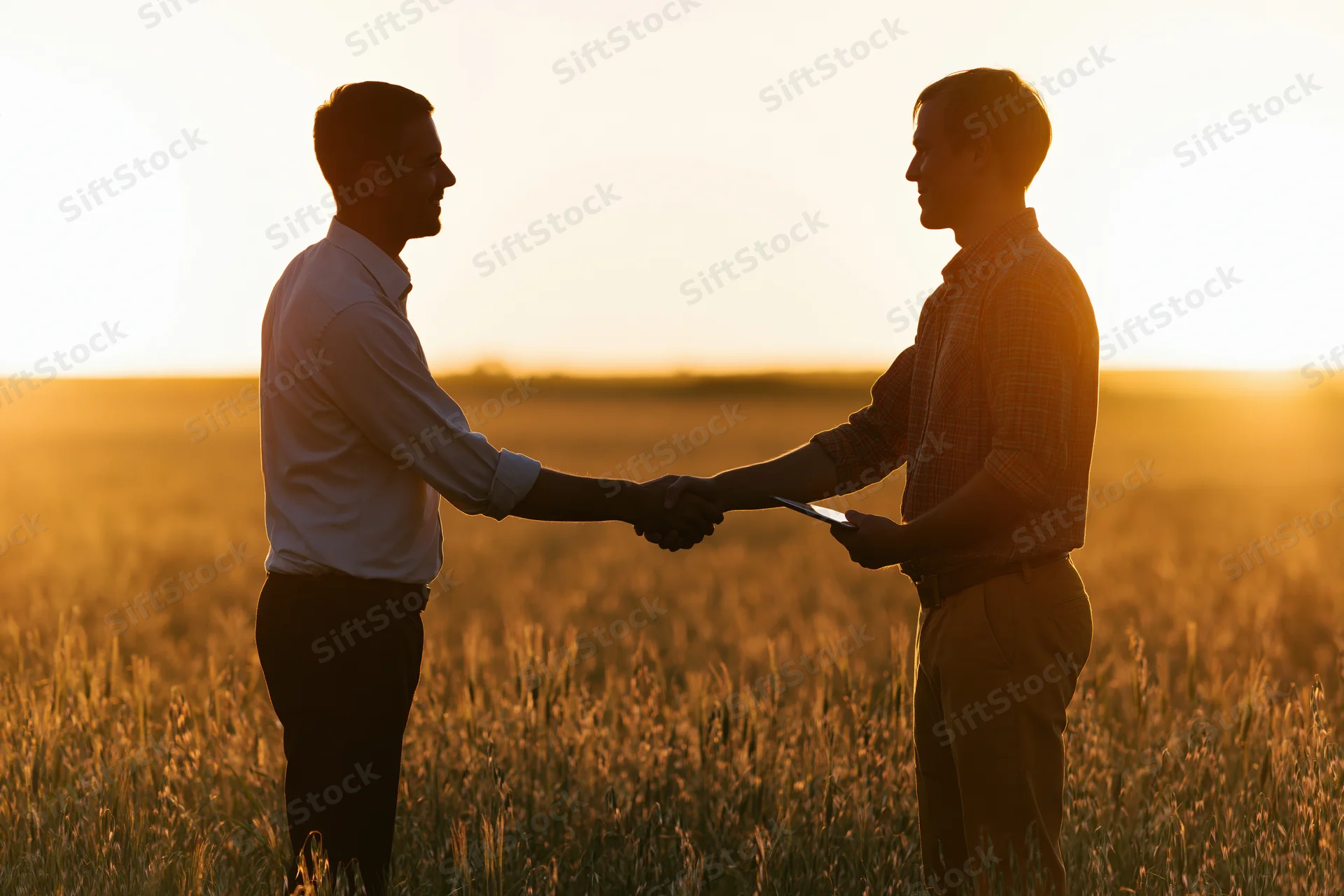 Two men shaking hands in a wheat field at sunset