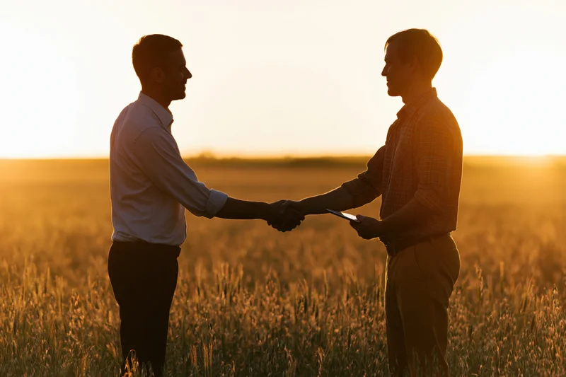 Two men shaking hands in a wheat field at sunset