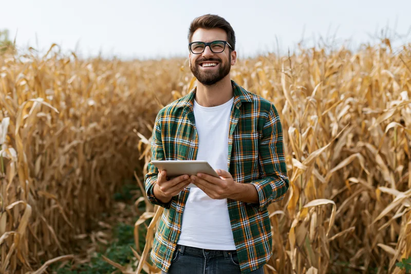 Man holding tablet in cornfield during harvest season