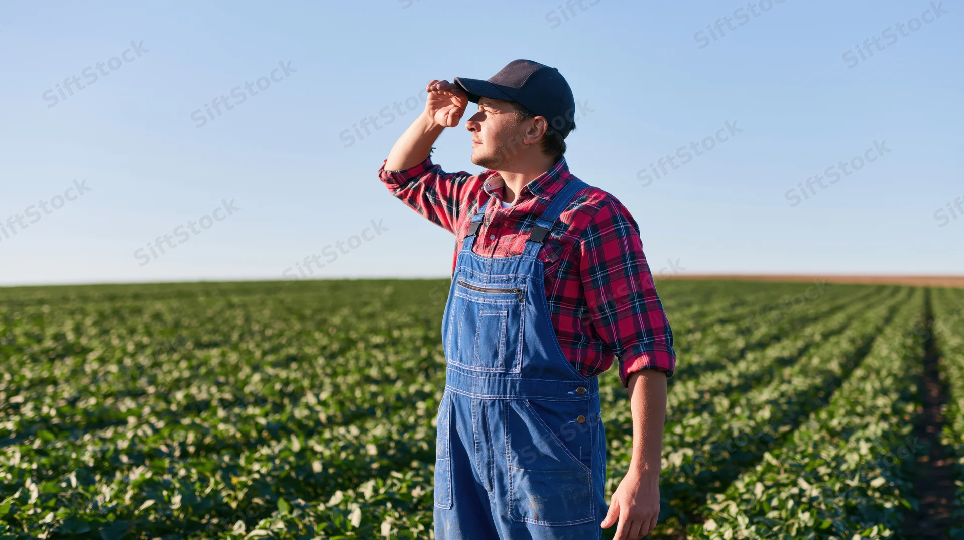 Farmer in overalls shielding eyes while standing in a green cropfield under clear sky