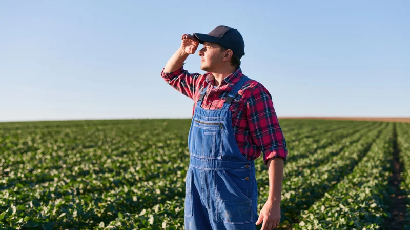 Farmer in overalls shielding eyes while standing in a green cropfield under clear sky