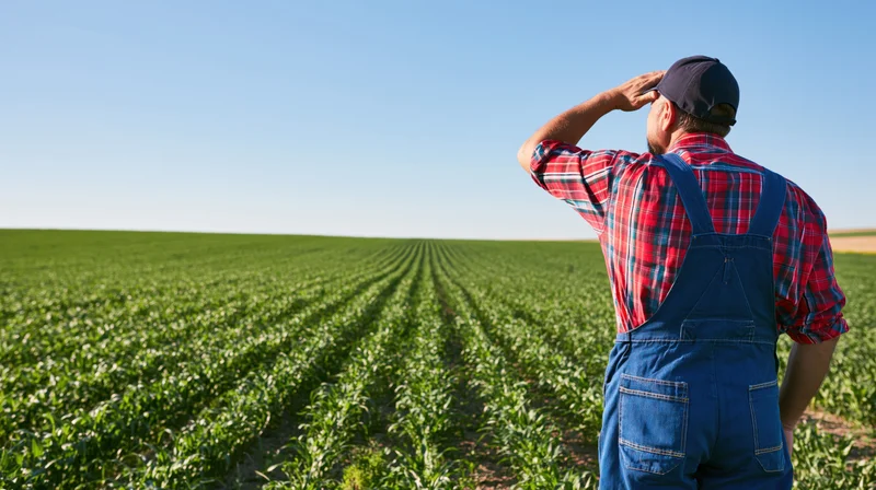 Farmer in overalls shielding eyes while standing in a green crop field under clear sky