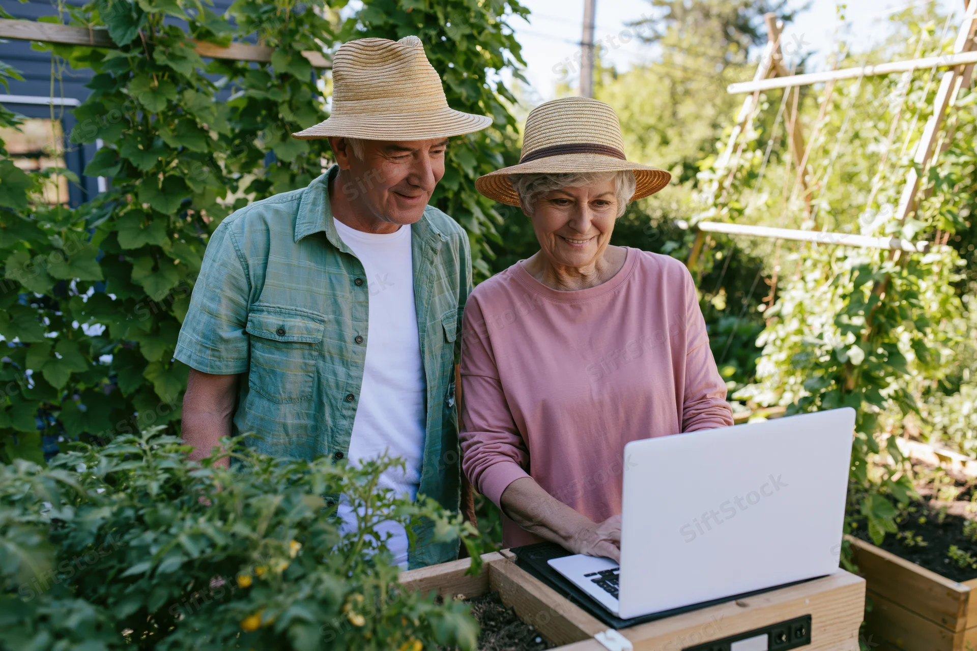 Senior couple using laptop in garden among plants and raised beds