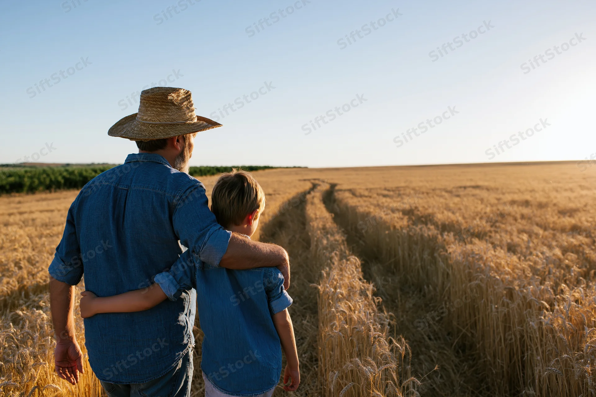 Father and son walking arm in arm through a golden wheat field at sunset