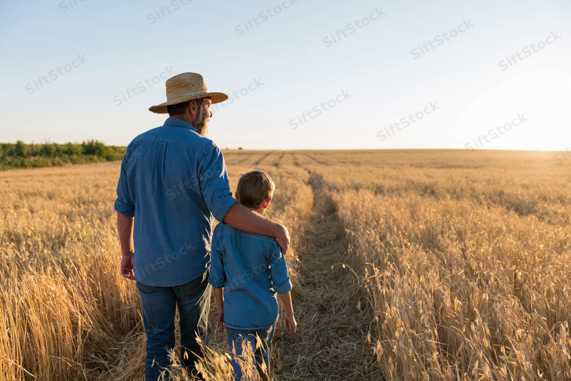 Father and son walking through a wheat field at sunset