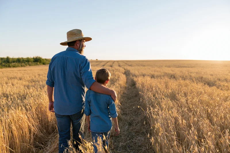 Father and son walking through a wheat field at sunset