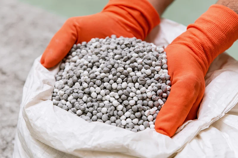 Gloved hands holding granular fertilizer from a white sack