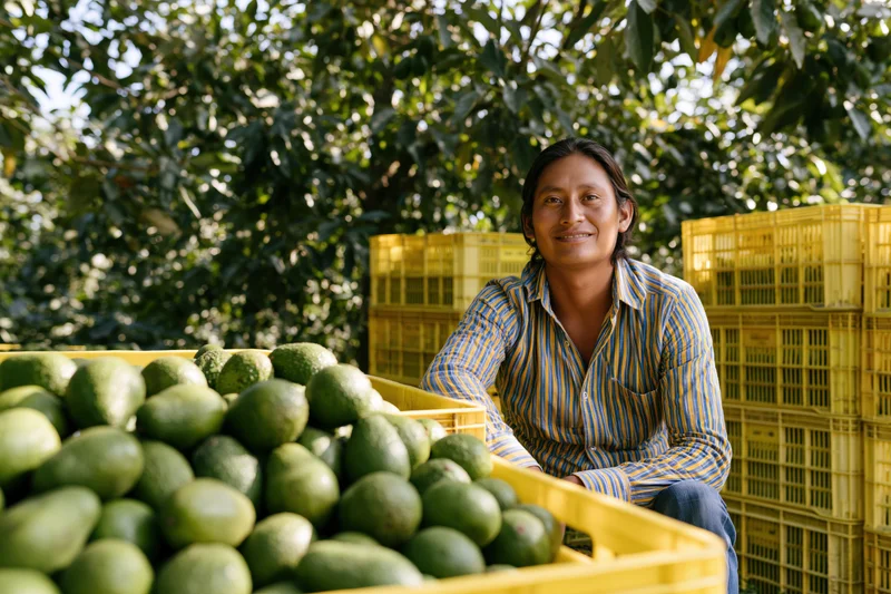 Woman smiling beside a crate of avocados in an orchard
