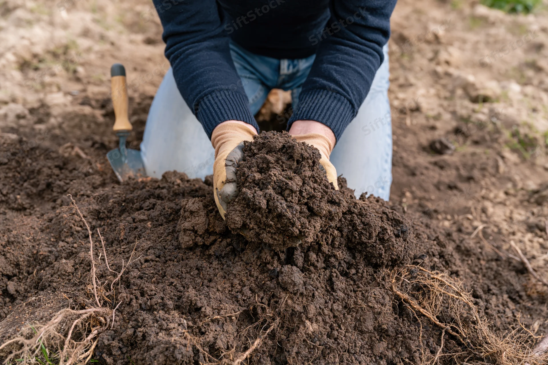 Woman kneeling and digging soil in a garden field