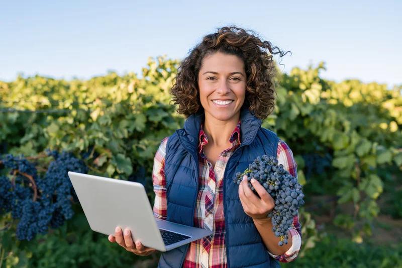 Woman holding grapes and laptop in a vineyard