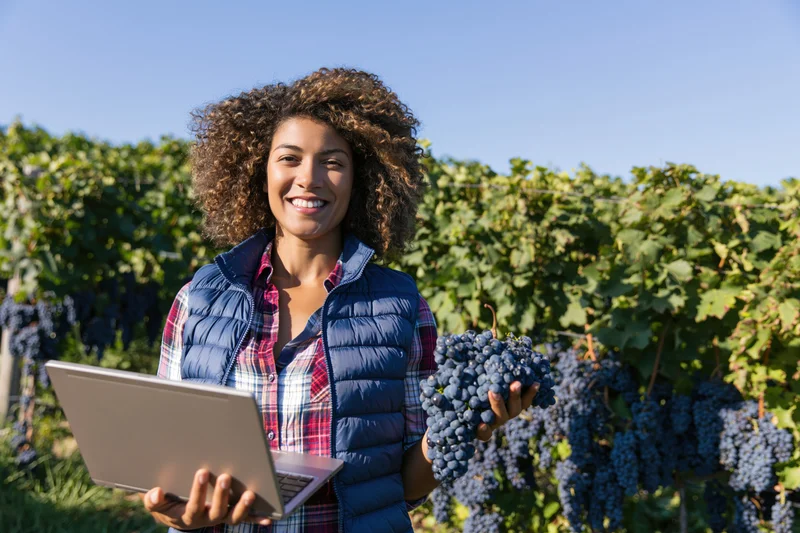 Woman holding grapes and laptop in a vineyard