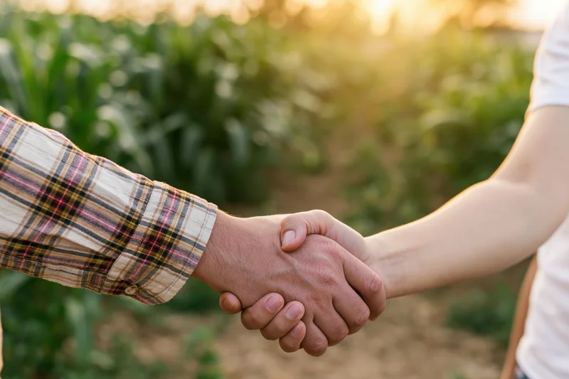 Two hands shaking firmly in a cornfield at sunset