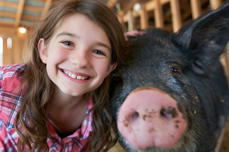 Young girl smiling beside a black pig in a barn