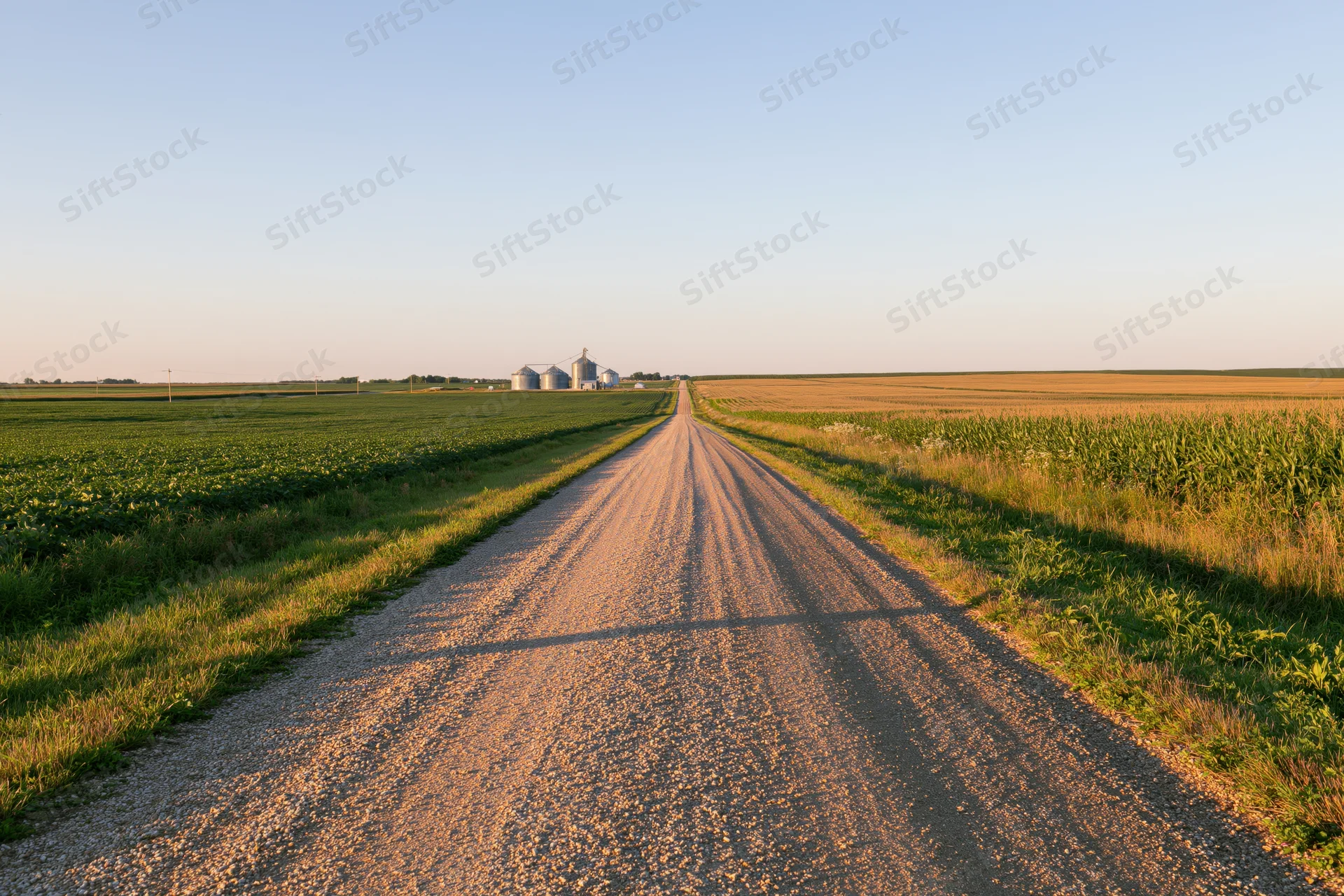 Straight gravel road leading through flat farmland toward distant farm buildings at golden hour