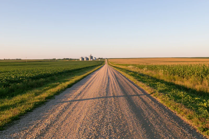 Straight gravel road leading through flat farmland toward distant farm buildings at golden hour