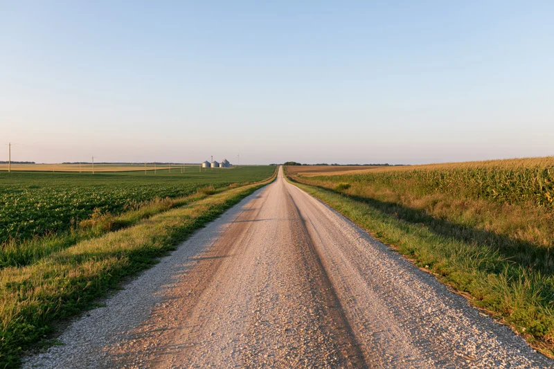 Straight gravel road cutting through flat farmland with corn and soybean fields under clear sky at sunset