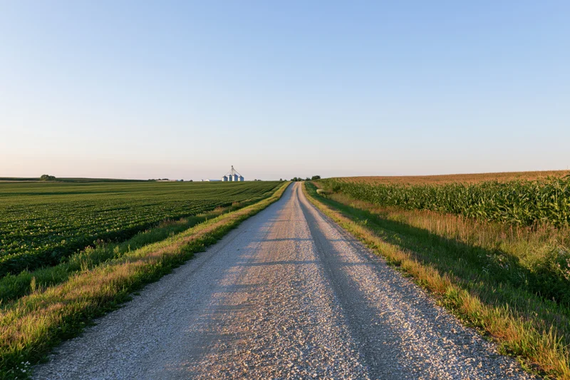 Straight gravel road through flat farmland with corn and soybean fields leading to distant silo under clear blue sky