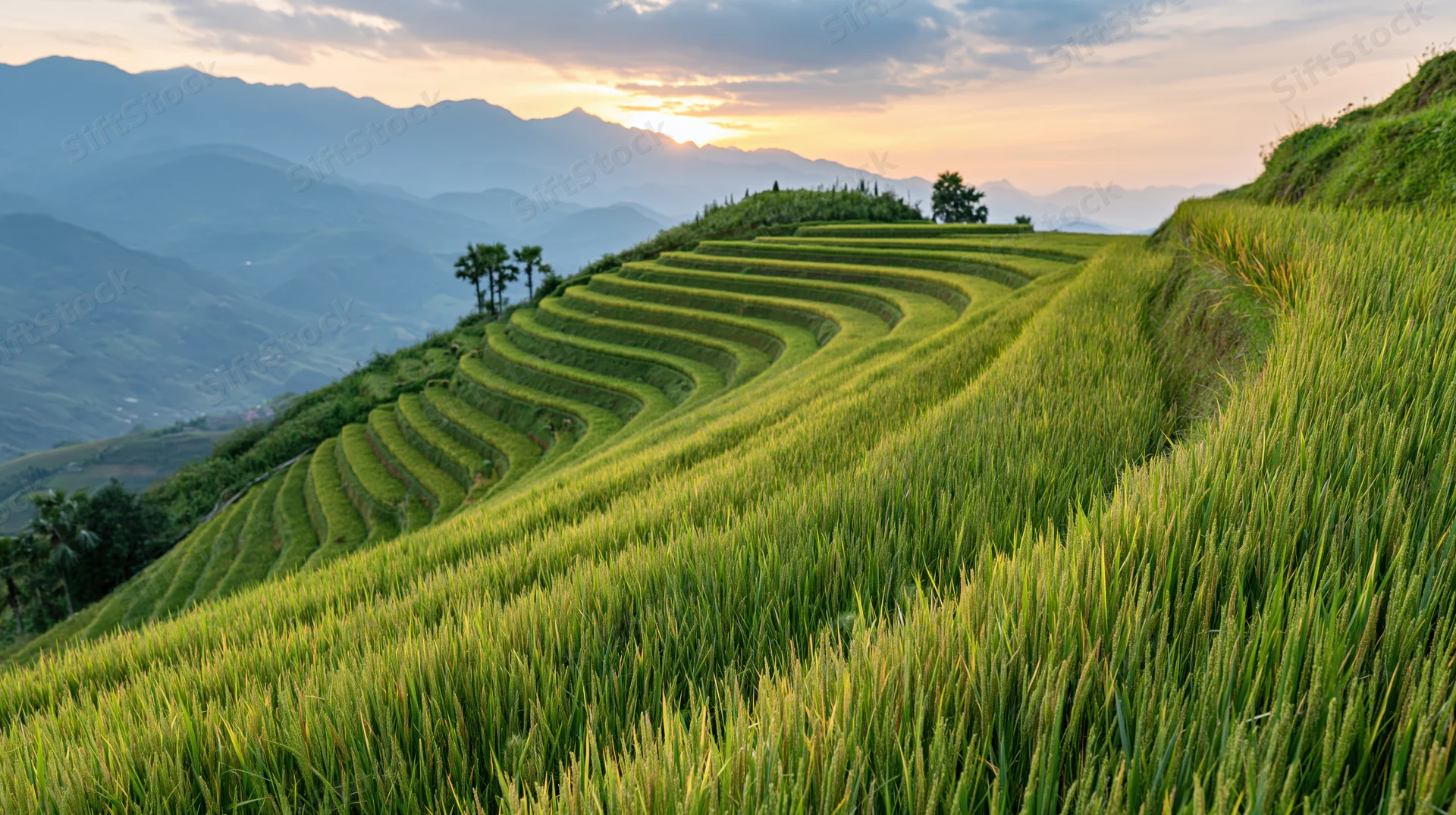 Terraced rice paddies cascading down a hillside at sunset with mountains in the background