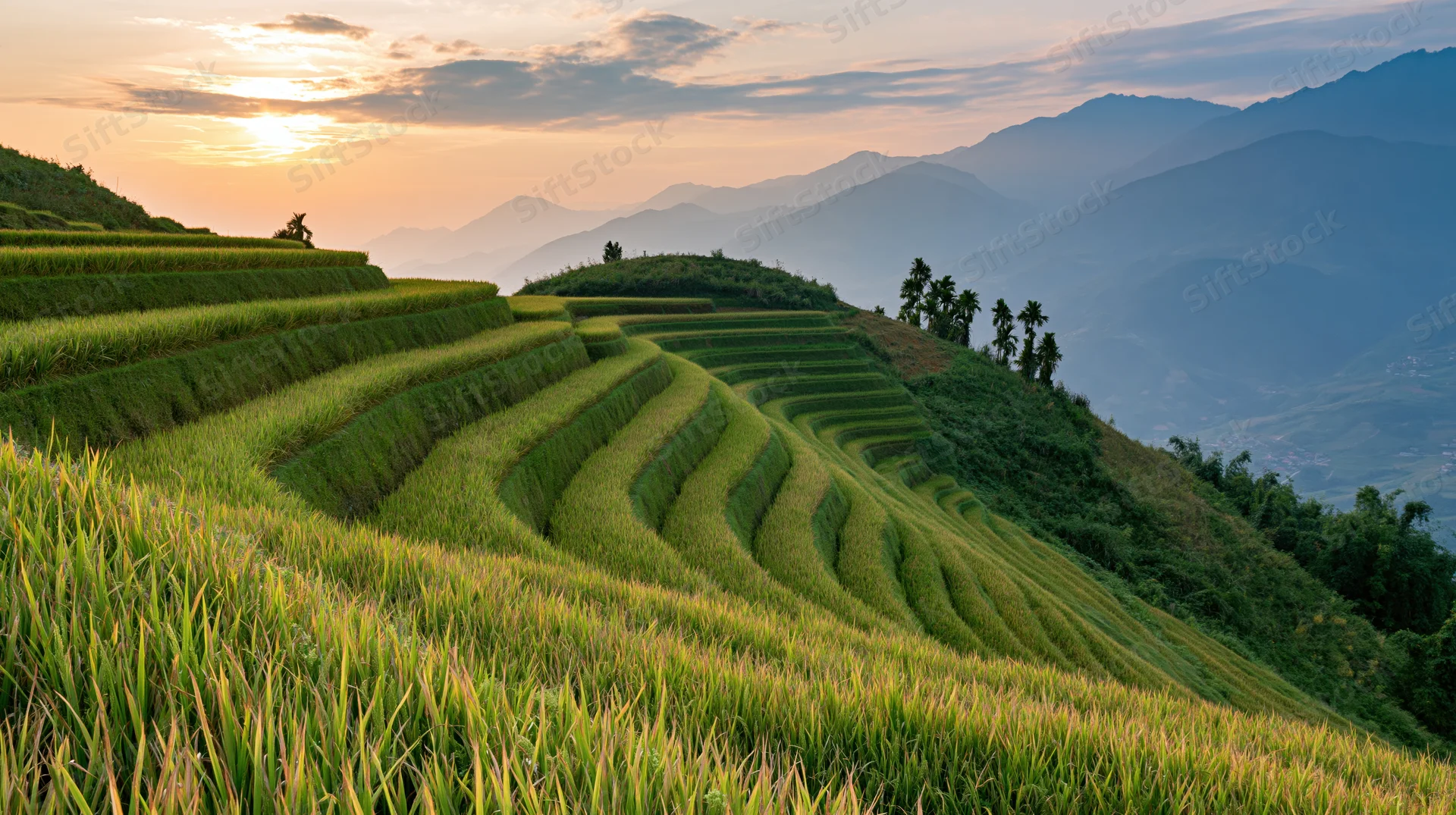 Terraced rice paddies cascading down a hillside at sunset with mountains in the background