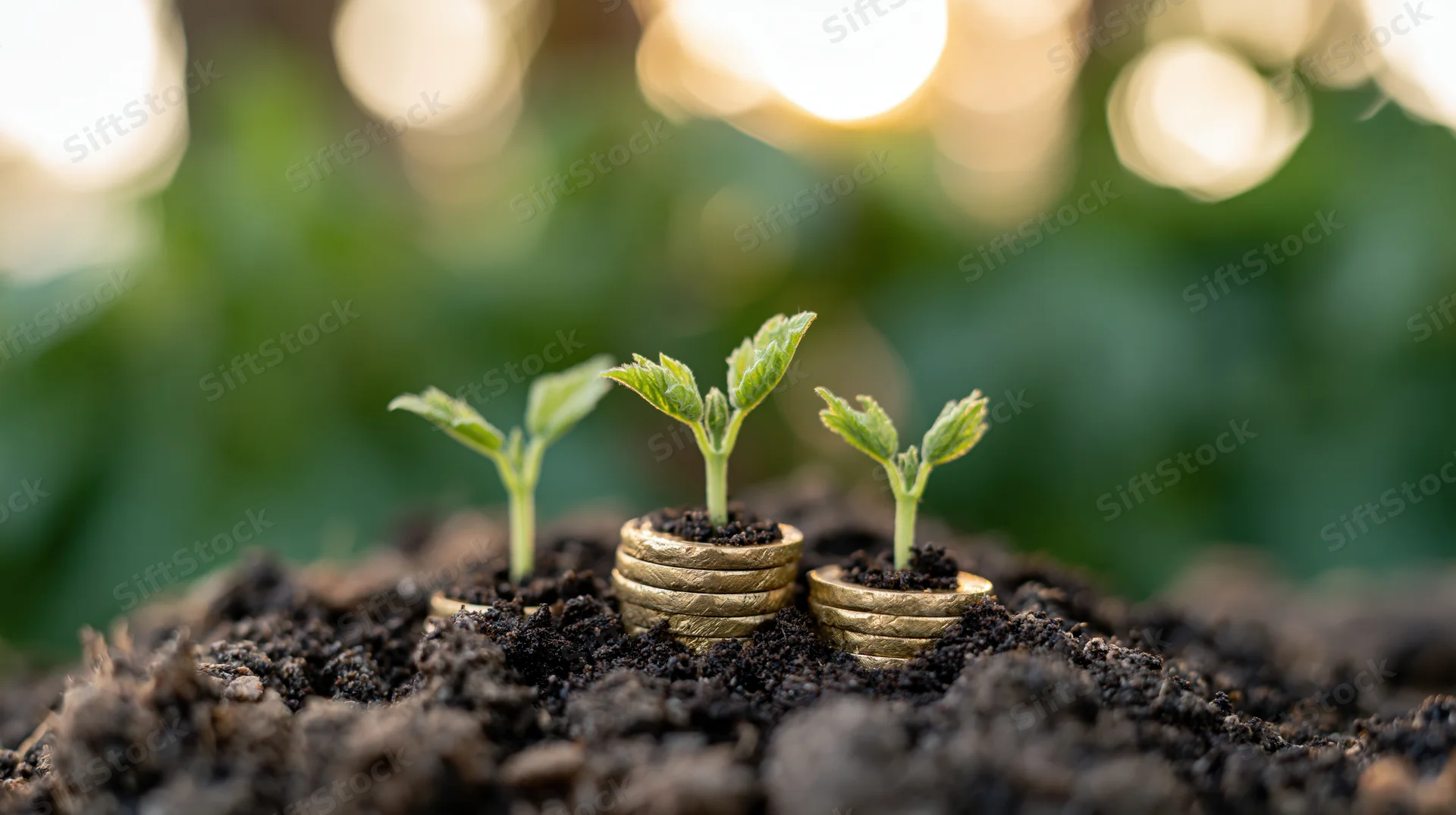 Three small green seedlings sprouting from stacked gold coins in soil with blurred greenery behind