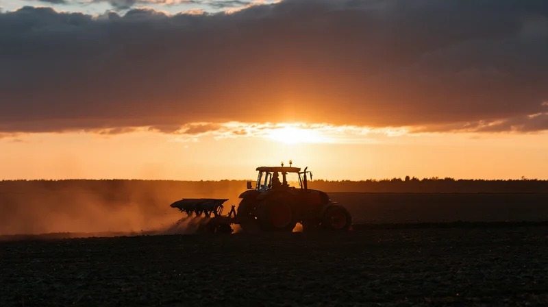 Tractor with attached plow tilling a field at sunset