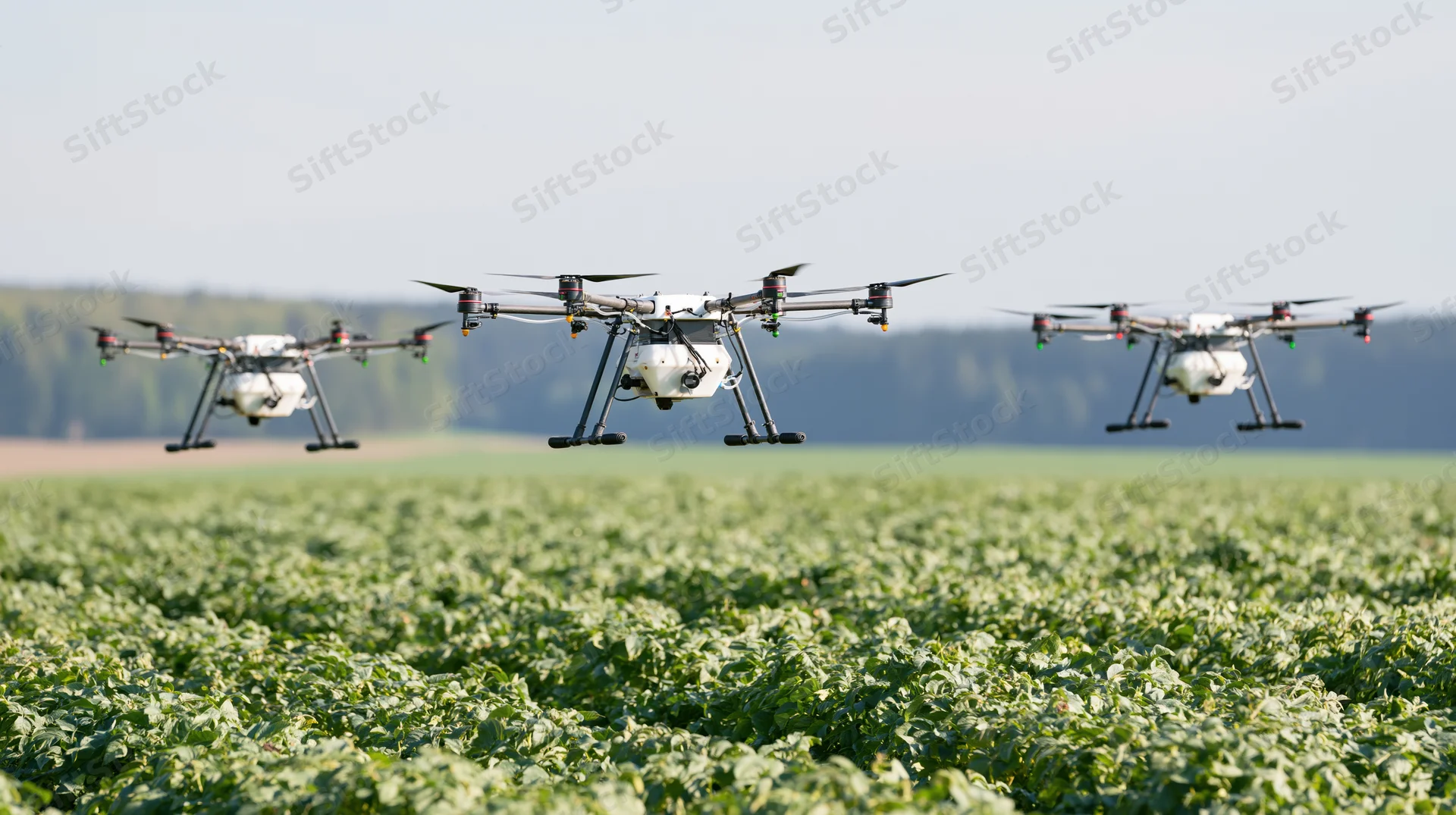 Three agricultural drones hovering low over a soybean field during daytime