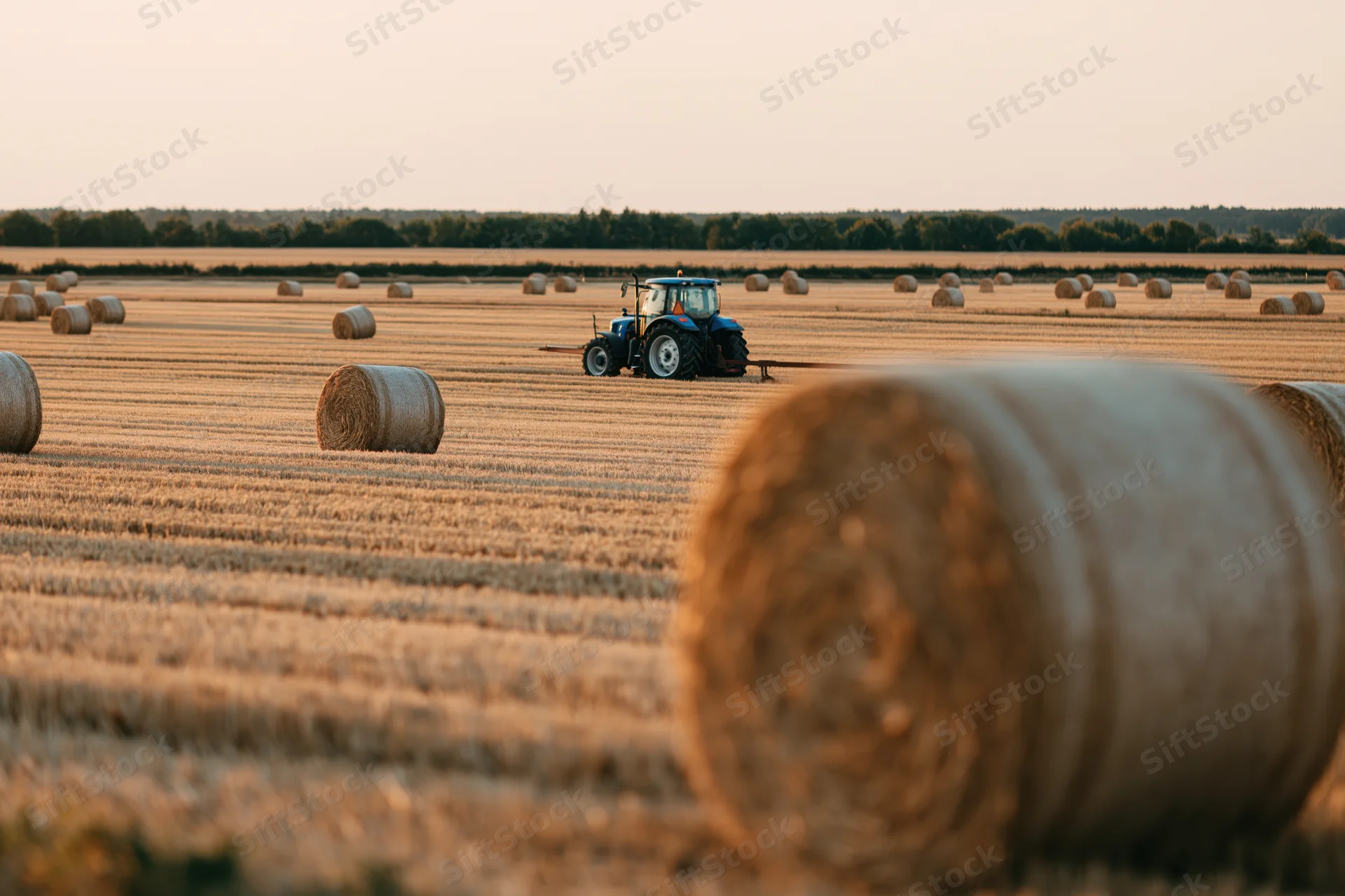 Blue tractor moving through harvested field with round hay bales scattered across golden farmland at sunset