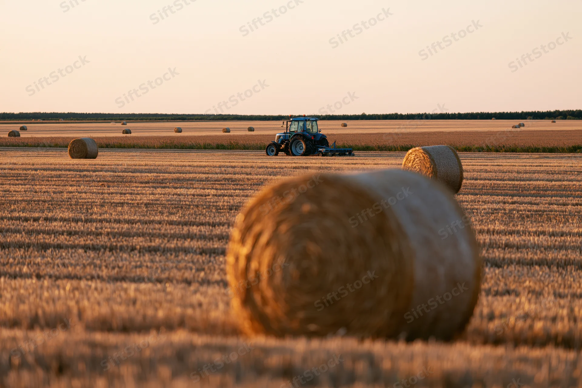 Tractor working in a harvested field with round hay bales at sunset