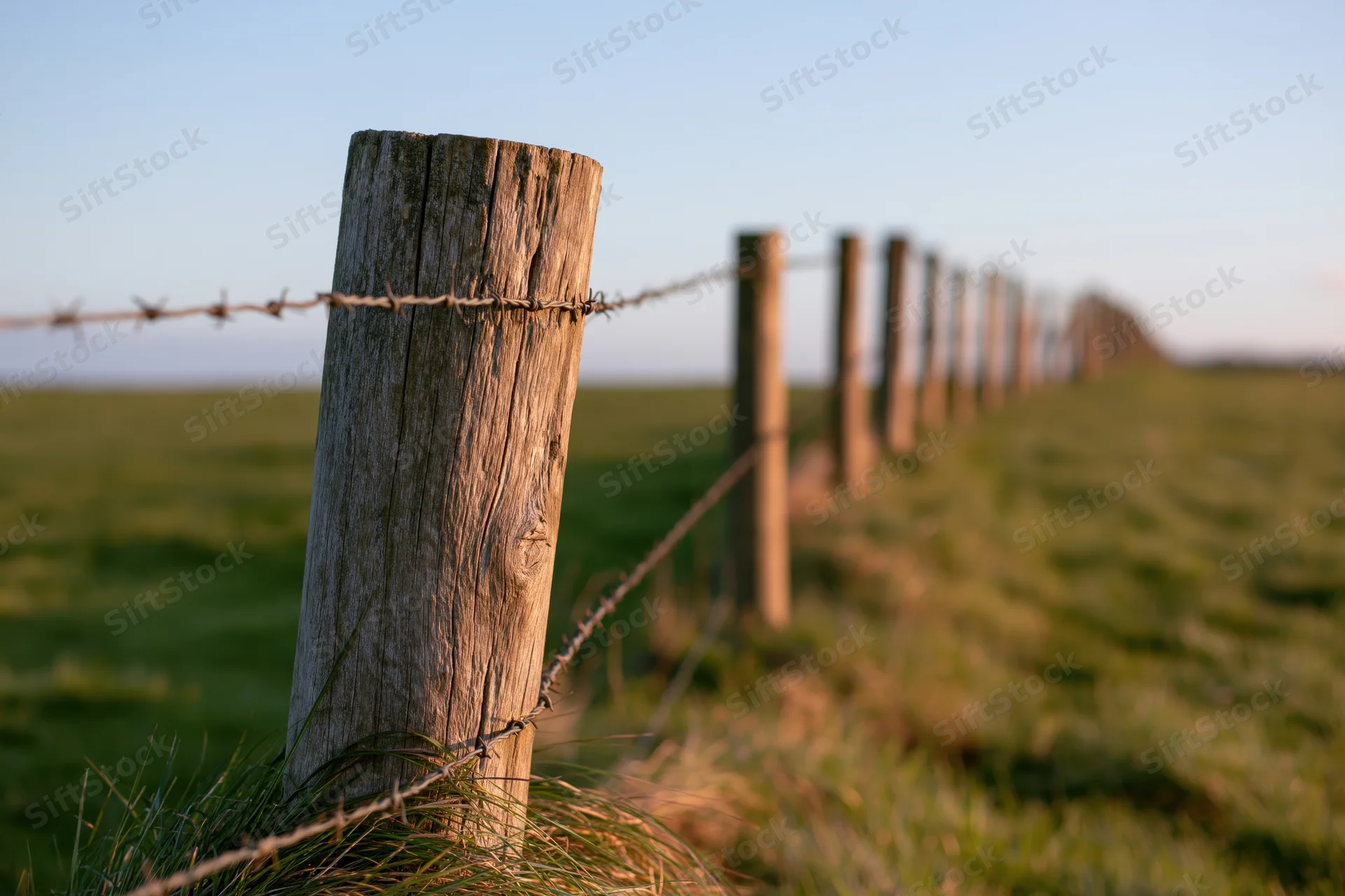 Weathered wooden fence posts with barbed wire receding across a grassy field under a clear sky