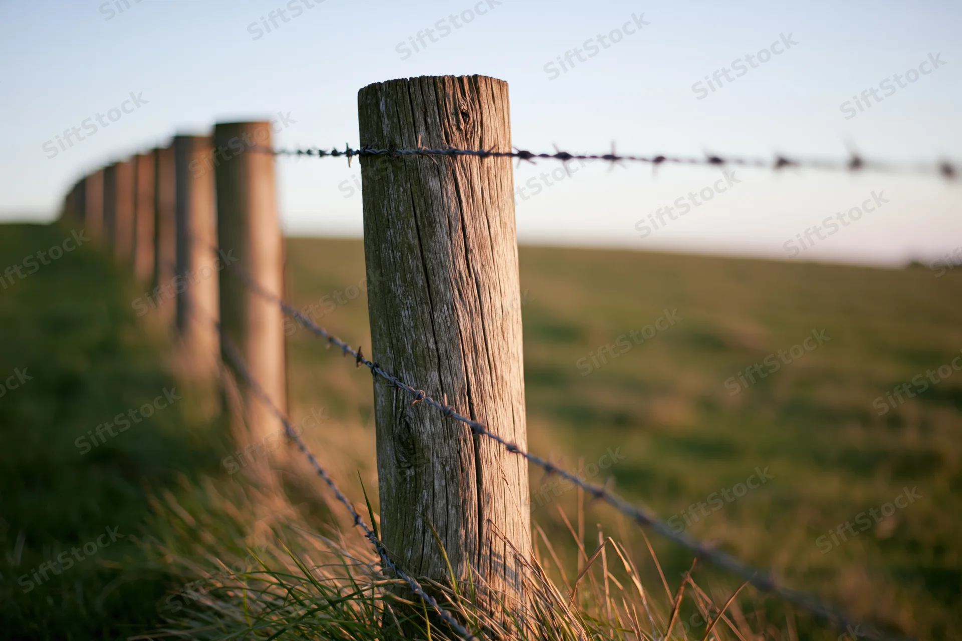 Weathered wooden fence posts with barbed wire receding into a grassy field at sunset