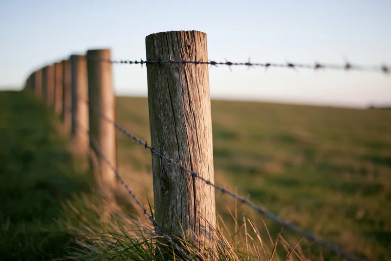 Weathered wooden fence posts with barbed wire receding into a grassy field at sunset