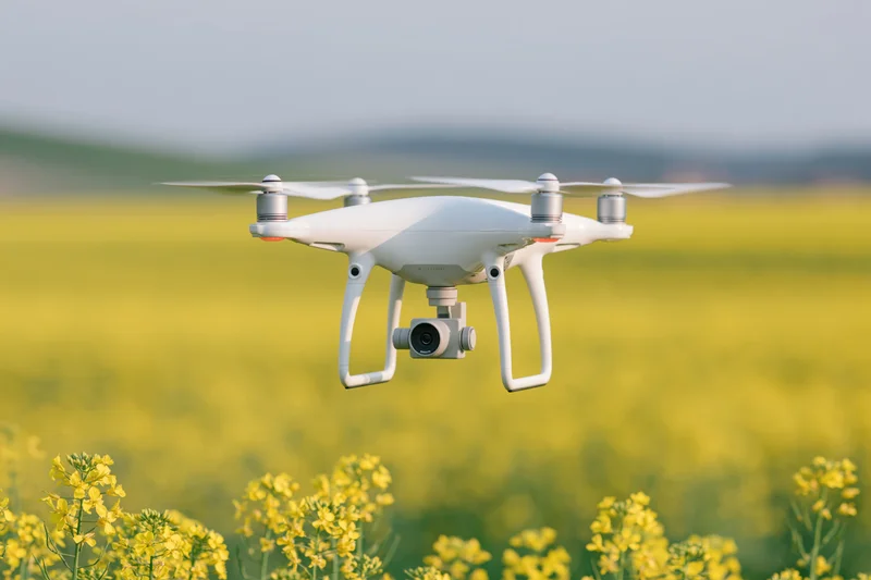 White quadcopter drone hovering over blooming canola field in spring