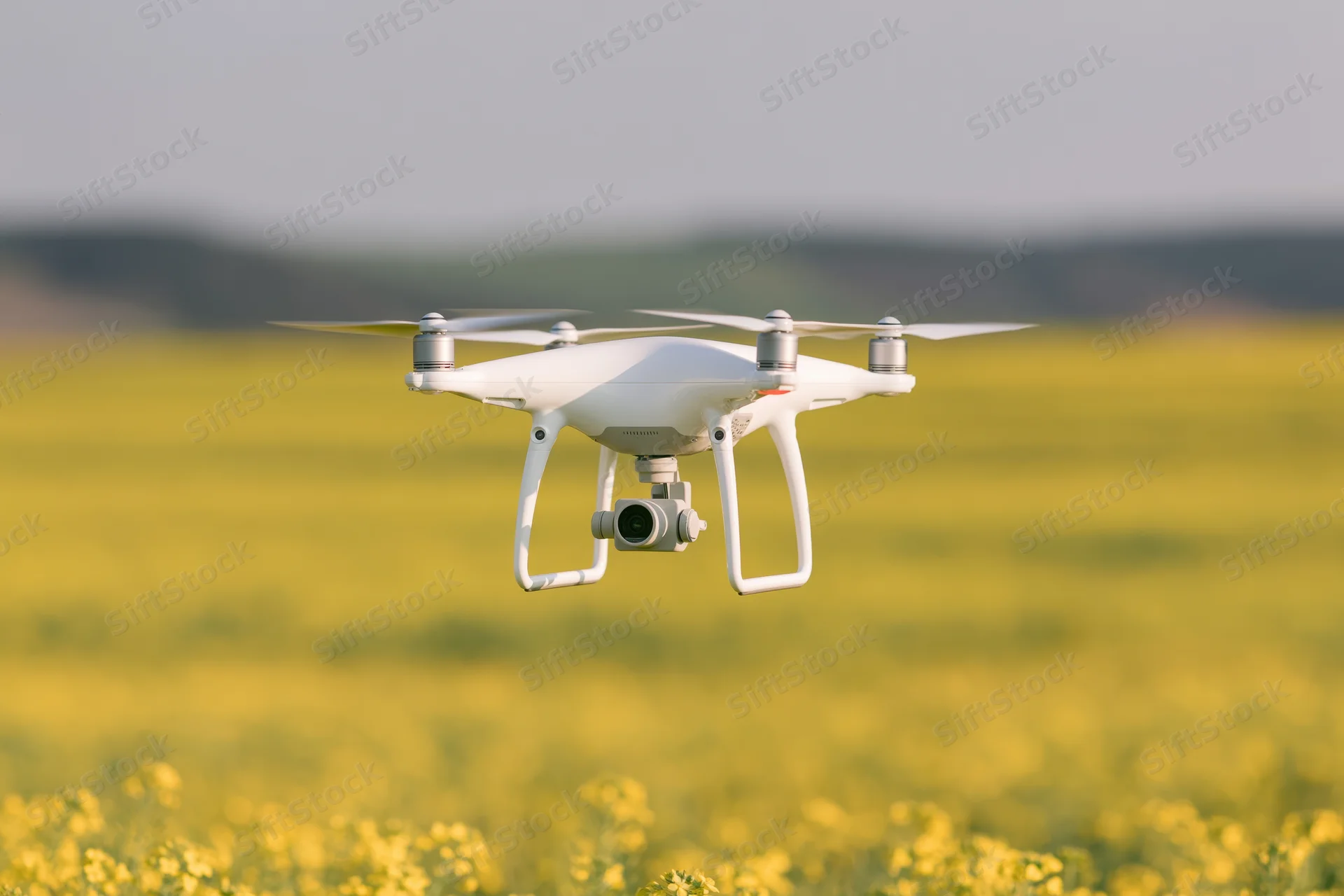 White quadcopter drone hovering over blooming yellow canola field