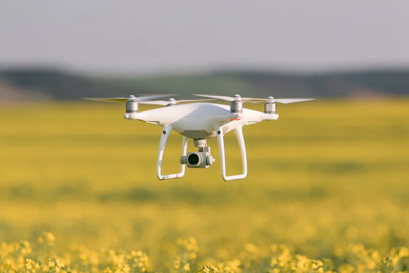 White quadcopter drone hovering over blooming yellow canola field