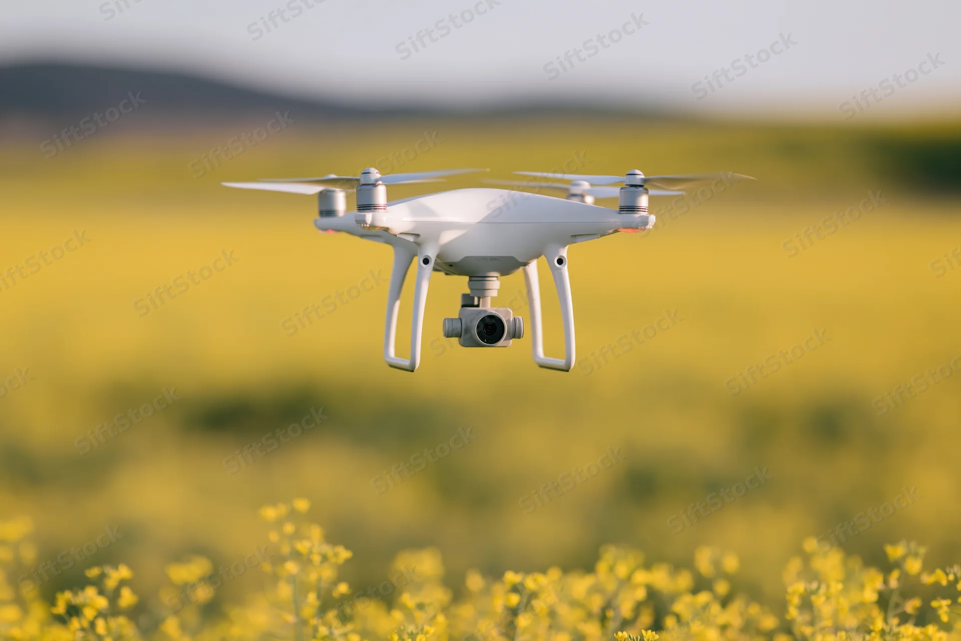 White quadcopter drone hovering over blooming canola field