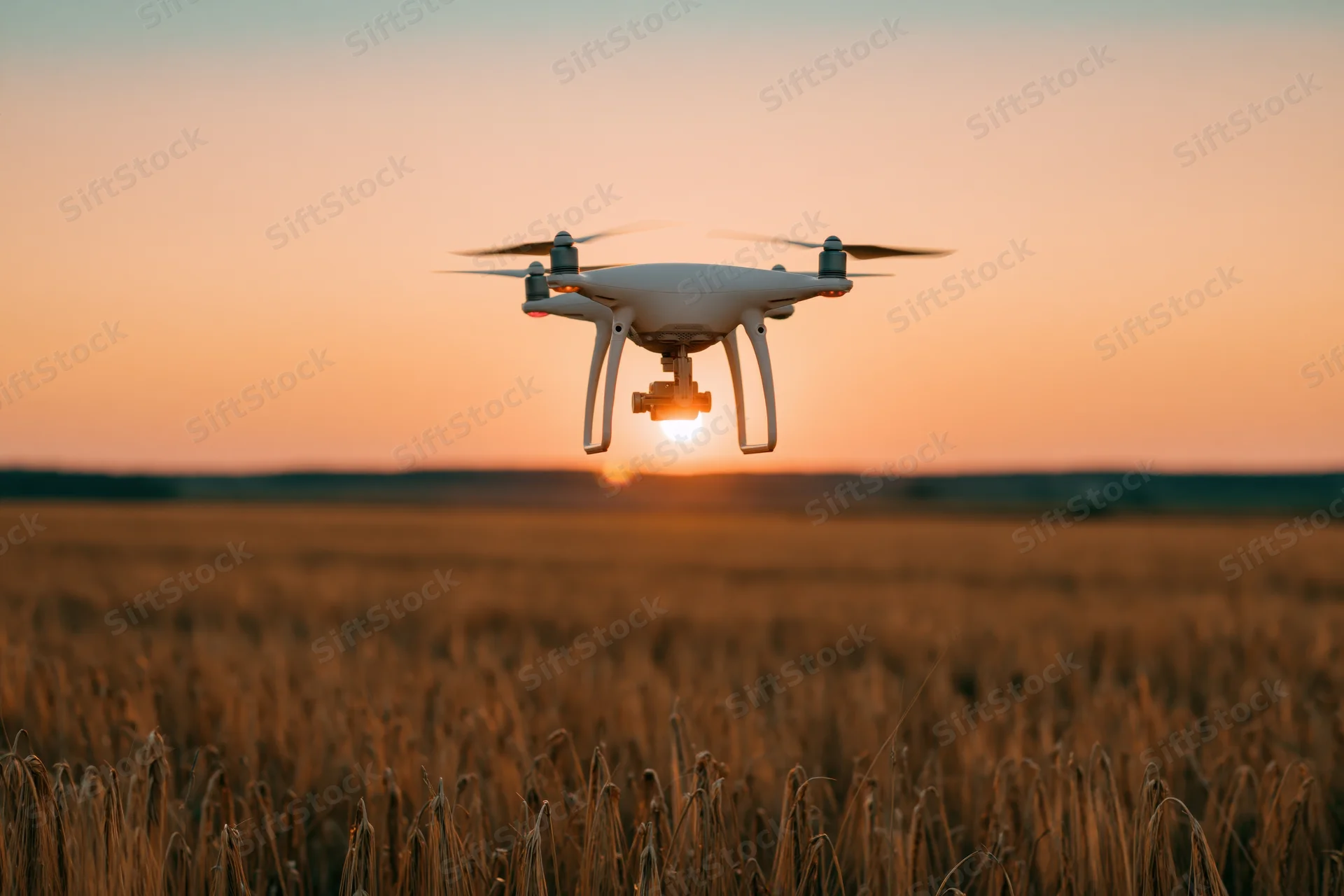 White quadcopter drone hovering low over a golden wheat field at sunset
