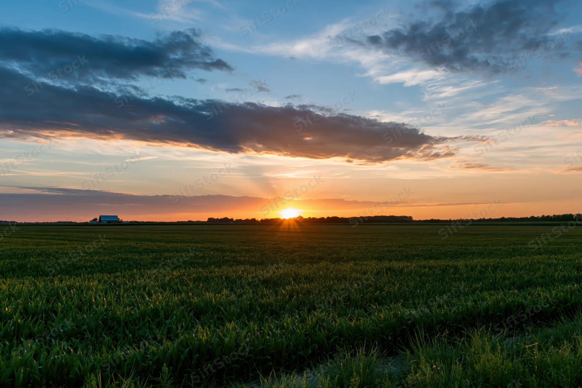 Sunset over a flat Midwestern farm field with corn and distant barn under cloudy sky