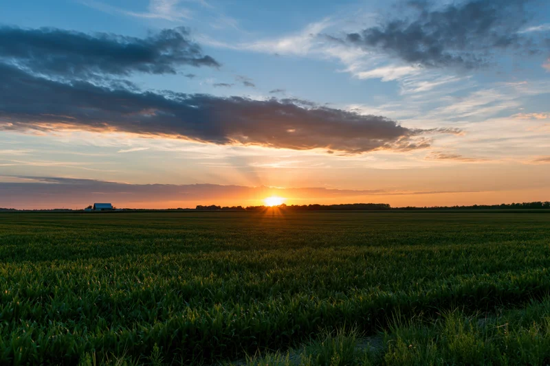 Sunset over a flat Midwestern farm field with corn and distant barn under cloudy sky