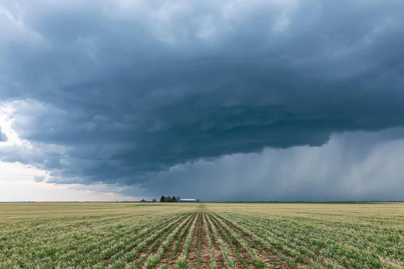 Storm clouds looming over a vast flat farmland with neat crop rows under an overcast sky