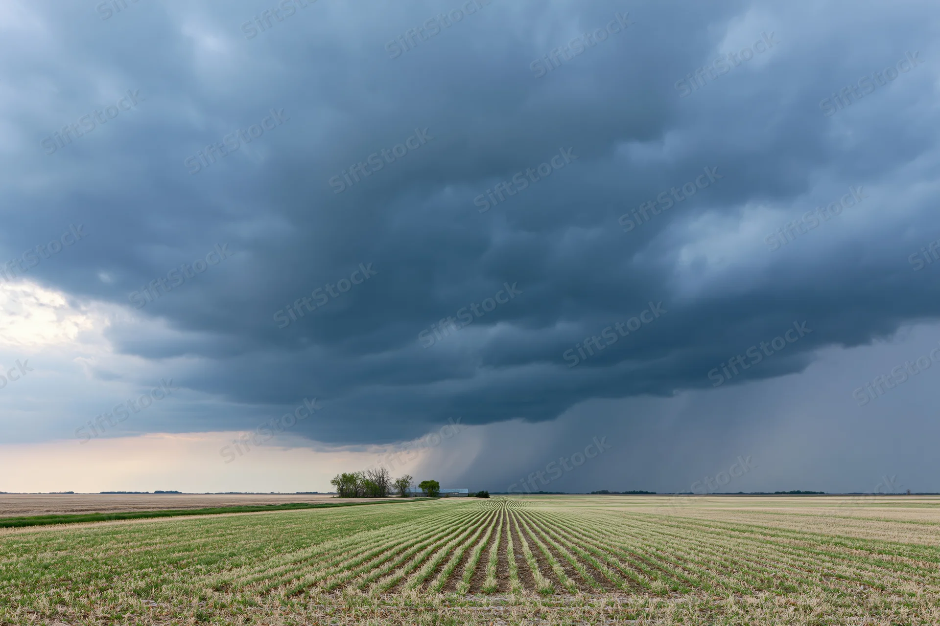 Dark storm clouds over a flat Midwestern cornfield with neat rows stretching to the horizon