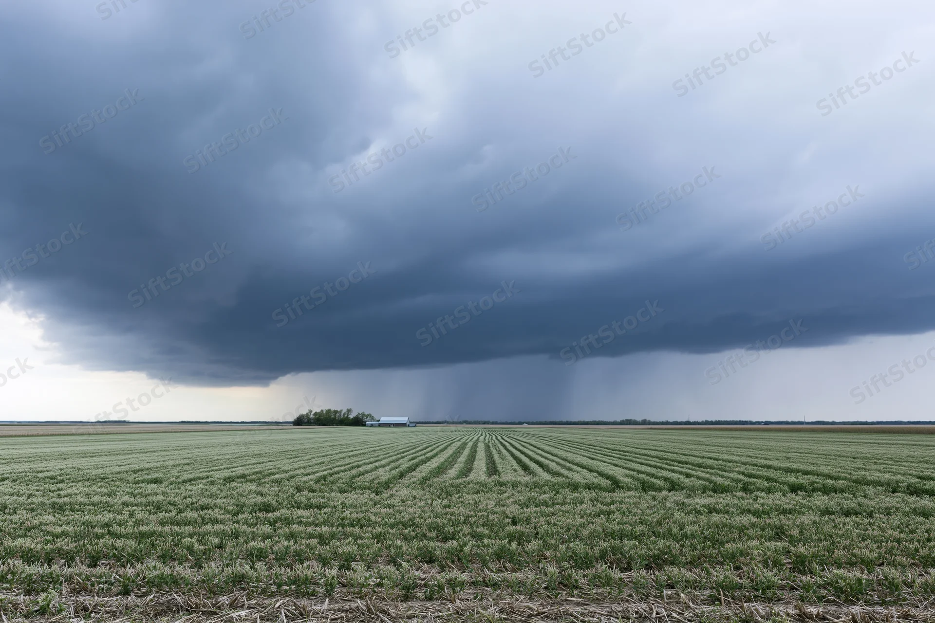 Storm clouds over a flat Midwestern farmland with rows of crops under an overcast sky