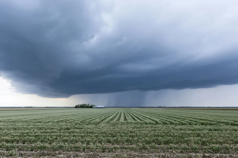 Storm clouds over a flat Midwestern farmland with rows of crops under an overcast sky