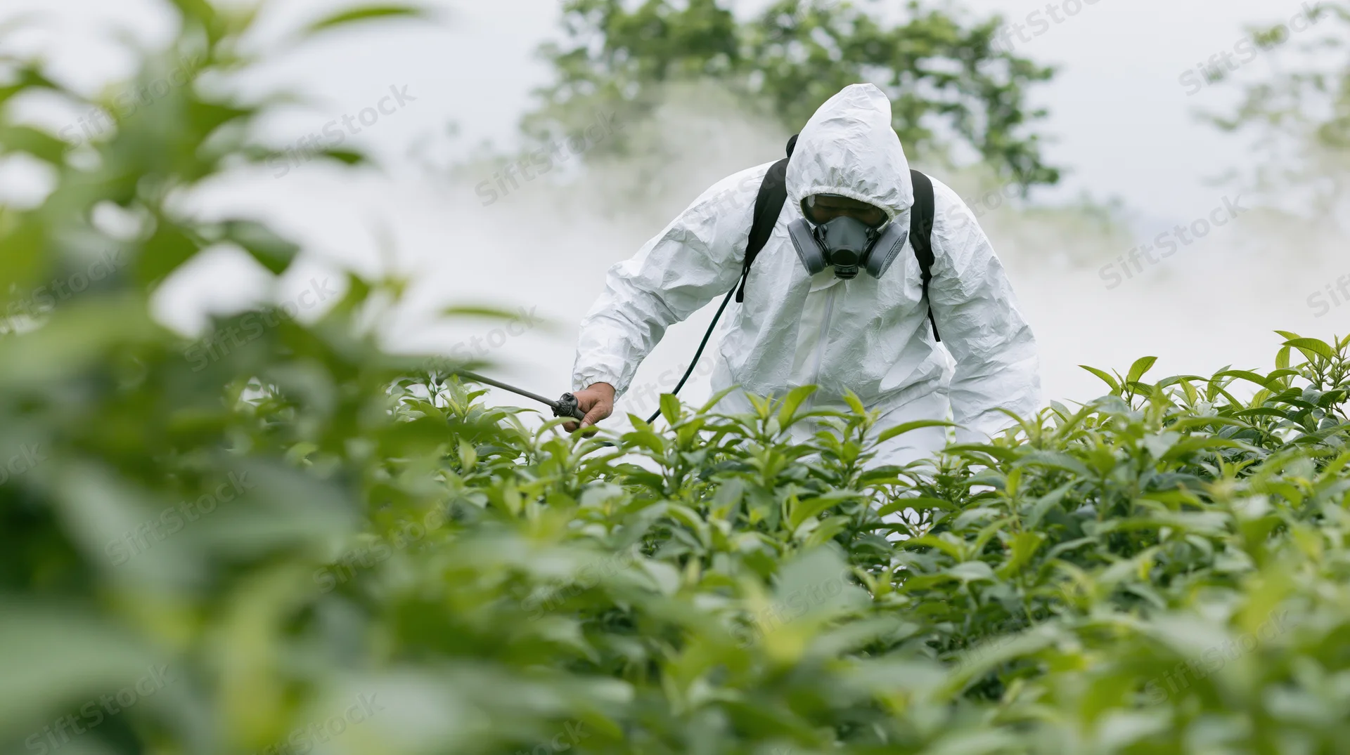 Farmer in white hazmat suit spraying pesticide on crops in a green field