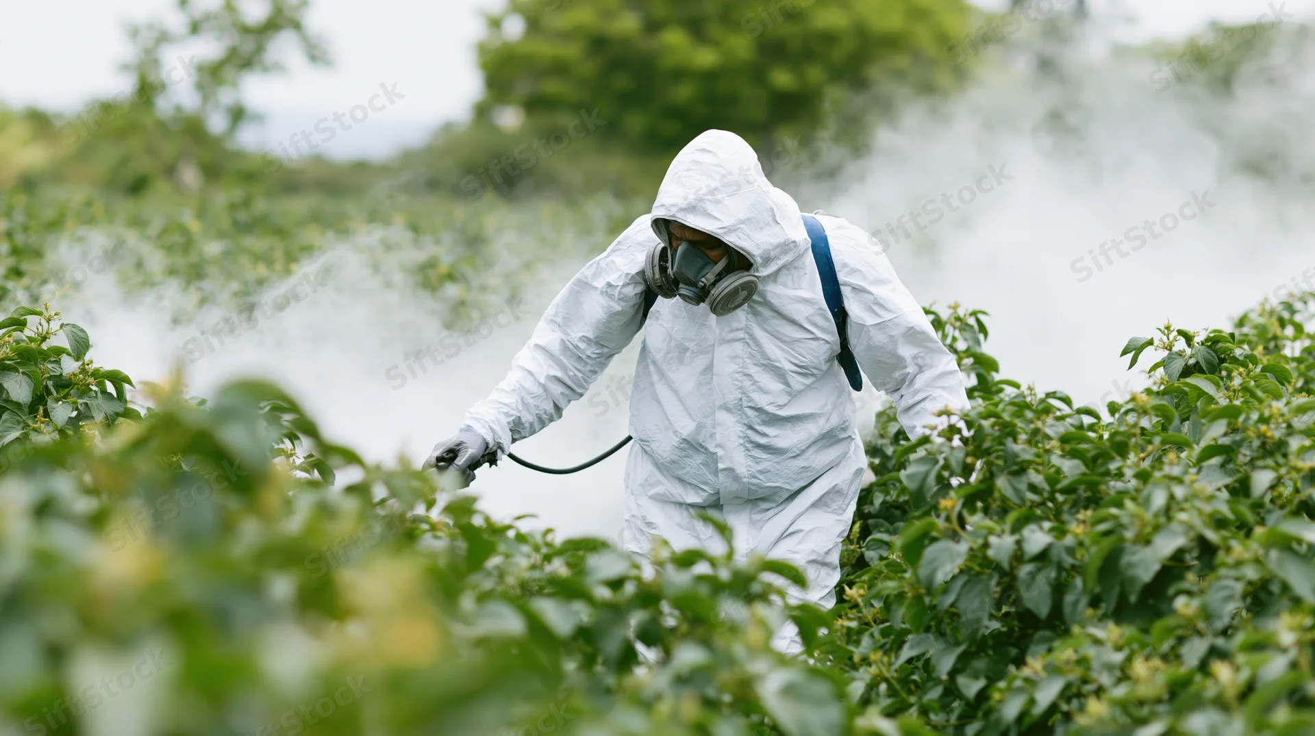 Farmer in white hazmat suit spraying pesticide on crops in a green field