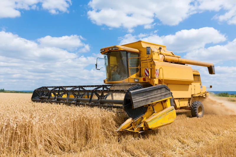 Yellow combine harvester harvesting wheat in a golden field under a blue sky with clouds