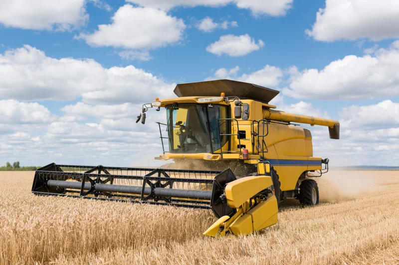 Yellow combine harvester harvesting wheat in a field under a blue sky with clouds