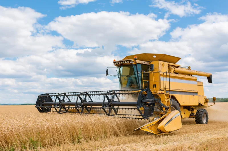 Yellow combine harvester harvesting wheat in a field under blue sky with clouds