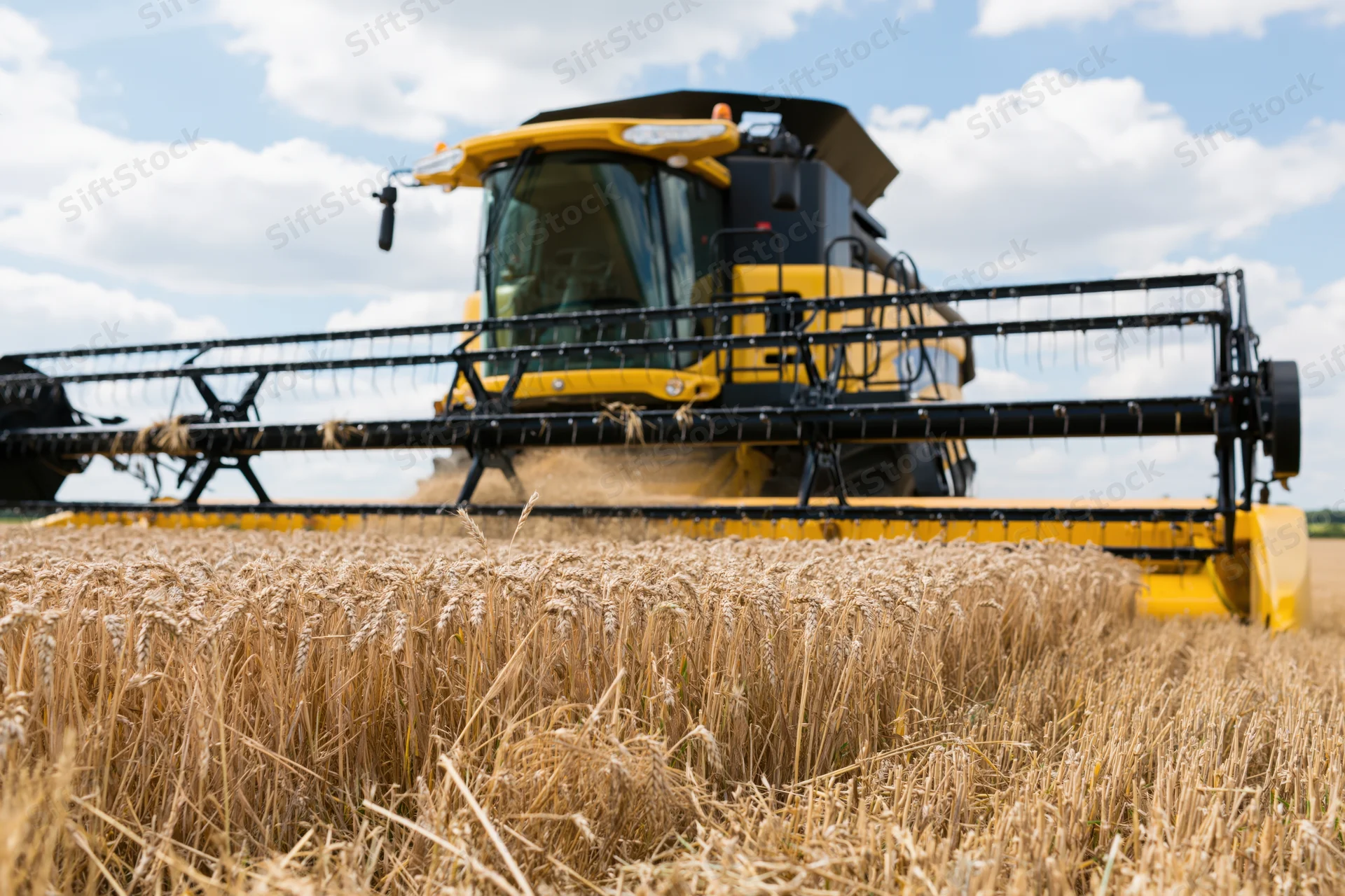 Yellow combine harvester cutting through ripe wheat field during daytime