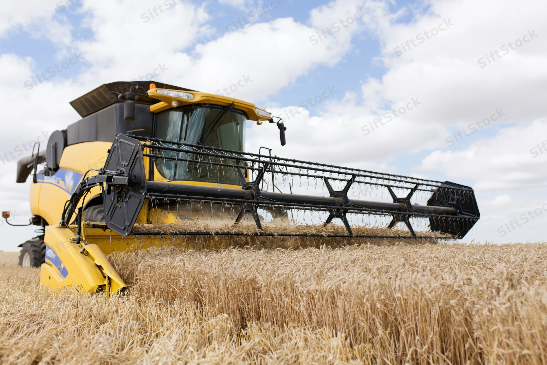 Yellow combine harvester cutting wheat in a field under a cloudy sky